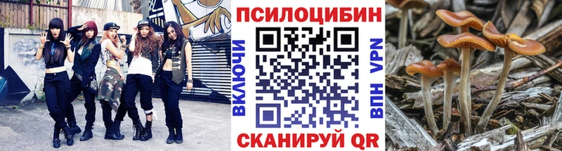 Галлюциногенные грибы мухоморы Певек